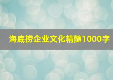 海底捞企业文化精髓1000字