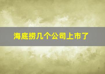 海底捞几个公司上市了