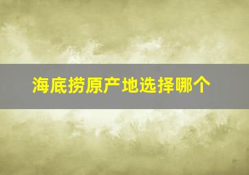 海底捞原产地选择哪个