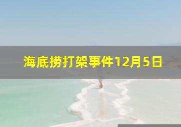 海底捞打架事件12月5日