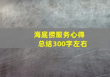 海底捞服务心得总结300字左右