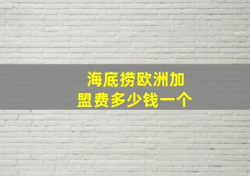 海底捞欧洲加盟费多少钱一个