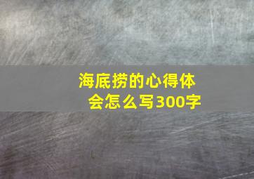 海底捞的心得体会怎么写300字