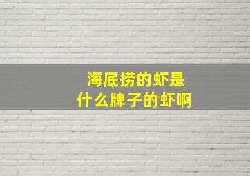 海底捞的虾是什么牌子的虾啊