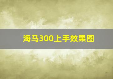 海马300上手效果图