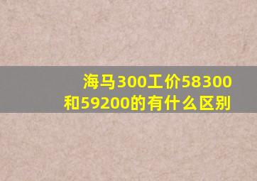 海马300工价58300和59200的有什么区别