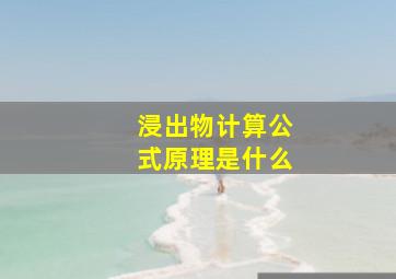 浸出物计算公式原理是什么