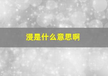 浸是什么意思啊