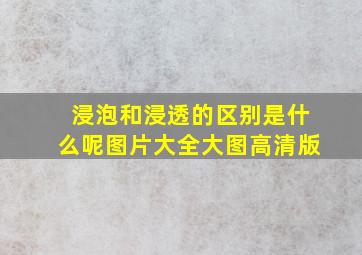 浸泡和浸透的区别是什么呢图片大全大图高清版