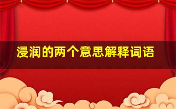 浸润的两个意思解释词语