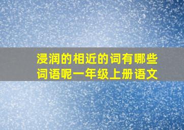 浸润的相近的词有哪些词语呢一年级上册语文