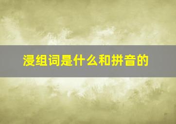 浸组词是什么和拼音的