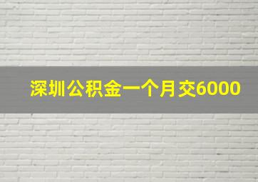 深圳公积金一个月交6000