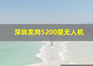 深圳龙岗5200架无人机