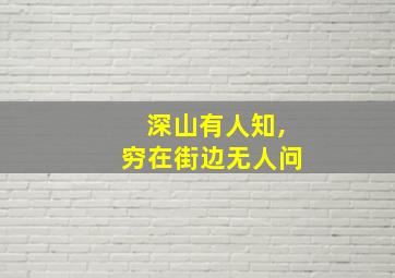 深山有人知,穷在街边无人问