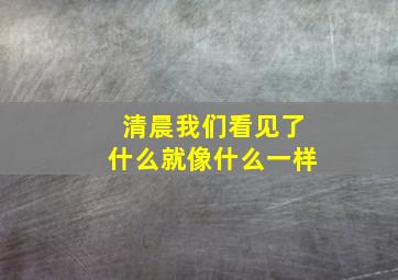 清晨我们看见了什么就像什么一样