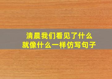 清晨我们看见了什么就像什么一样仿写句子