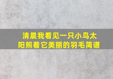 清晨我看见一只小鸟太阳照着它美丽的羽毛简谱