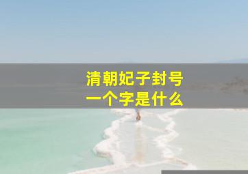 清朝妃子封号一个字是什么