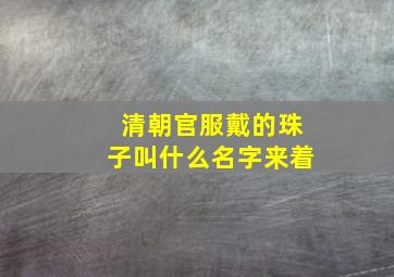 清朝官服戴的珠子叫什么名字来着