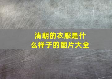 清朝的衣服是什么样子的图片大全