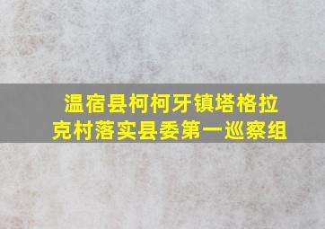 温宿县柯柯牙镇塔格拉克村落实县委第一巡察组