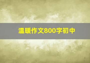 温暖作文800字初中