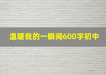 温暖我的一瞬间600字初中