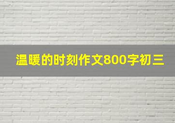 温暖的时刻作文800字初三