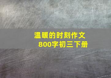 温暖的时刻作文800字初三下册