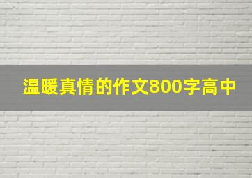 温暖真情的作文800字高中