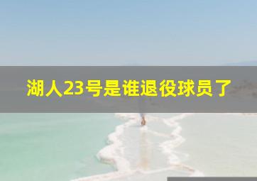 湖人23号是谁退役球员了