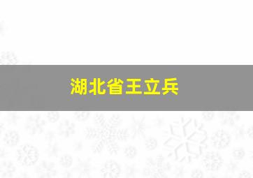 湖北省王立兵