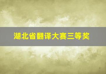 湖北省翻译大赛三等奖