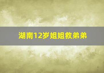 湖南12岁姐姐救弟弟