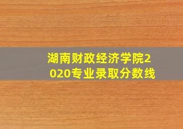 湖南财政经济学院2020专业录取分数线