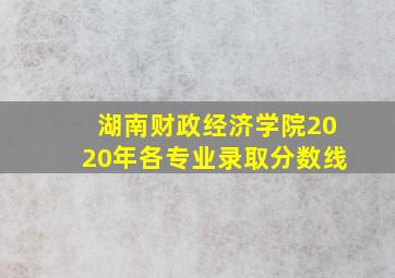 湖南财政经济学院2020年各专业录取分数线