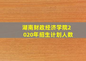 湖南财政经济学院2020年招生计划人数