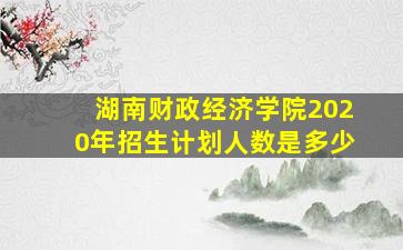 湖南财政经济学院2020年招生计划人数是多少