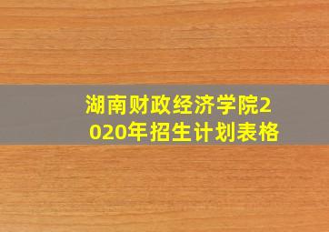 湖南财政经济学院2020年招生计划表格