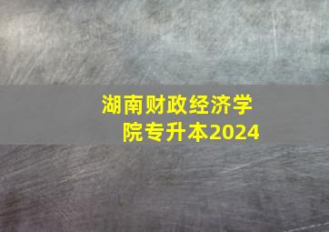 湖南财政经济学院专升本2024