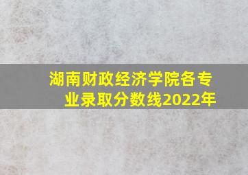 湖南财政经济学院各专业录取分数线2022年