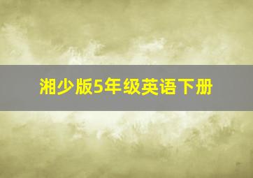 湘少版5年级英语下册