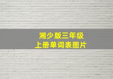 湘少版三年级上册单词表图片