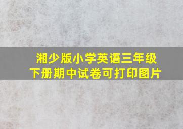 湘少版小学英语三年级下册期中试卷可打印图片