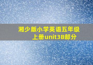 湘少版小学英语五年级上册unit3B部分