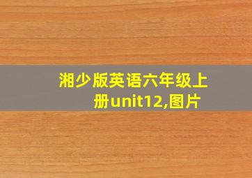 湘少版英语六年级上册unit12,图片