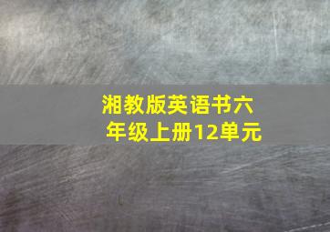 湘教版英语书六年级上册12单元