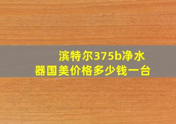 滨特尔375b净水器国美价格多少钱一台