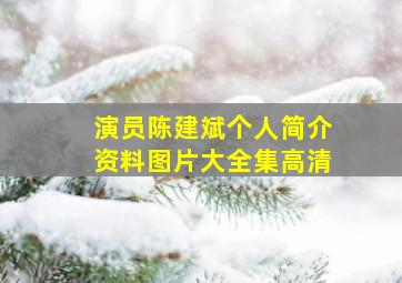 演员陈建斌个人简介资料图片大全集高清